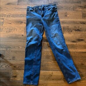 American Eagle Outfitters Dark Blue Slim Jeans